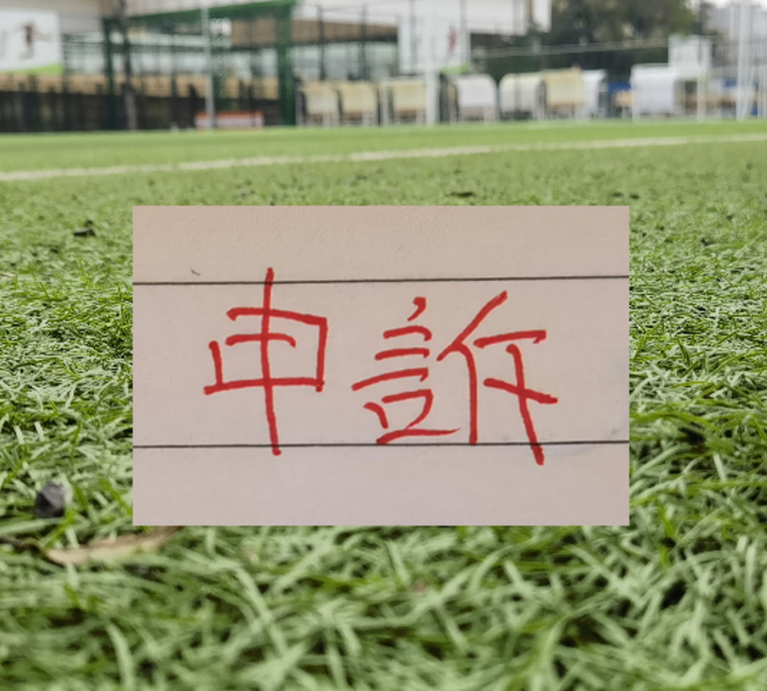 北京国安曹永竞踩踏大连外援红牌 最终决定正确!|中国足协|成都蓉城|韦世豪|王竞|比赛_新浪体育_新浪新闻